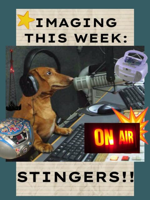 IMAGING WORKSHOP MONDAYS AT 5

this week, we’re making stingers!! these are short, 5 second audio clips that remind people they’re listening to Radio 1190!! bring your silliest voices please :)