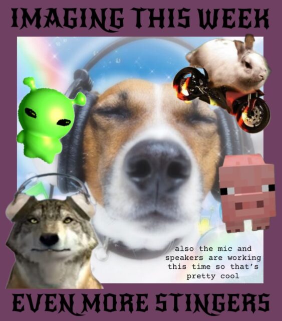 IMAGING MONDAY 5PM BE THERE!!!!!!! 
since you guys had so many great ideas last week we’re making even more stingers this week :)