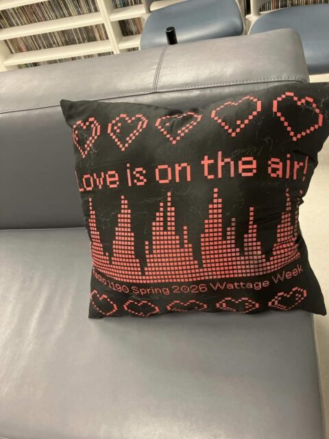 Thank you to DJ @miranda_harp’s mom for making this awesome pillow out of our Spring Fund Drive bandana!! We ❤️ you!