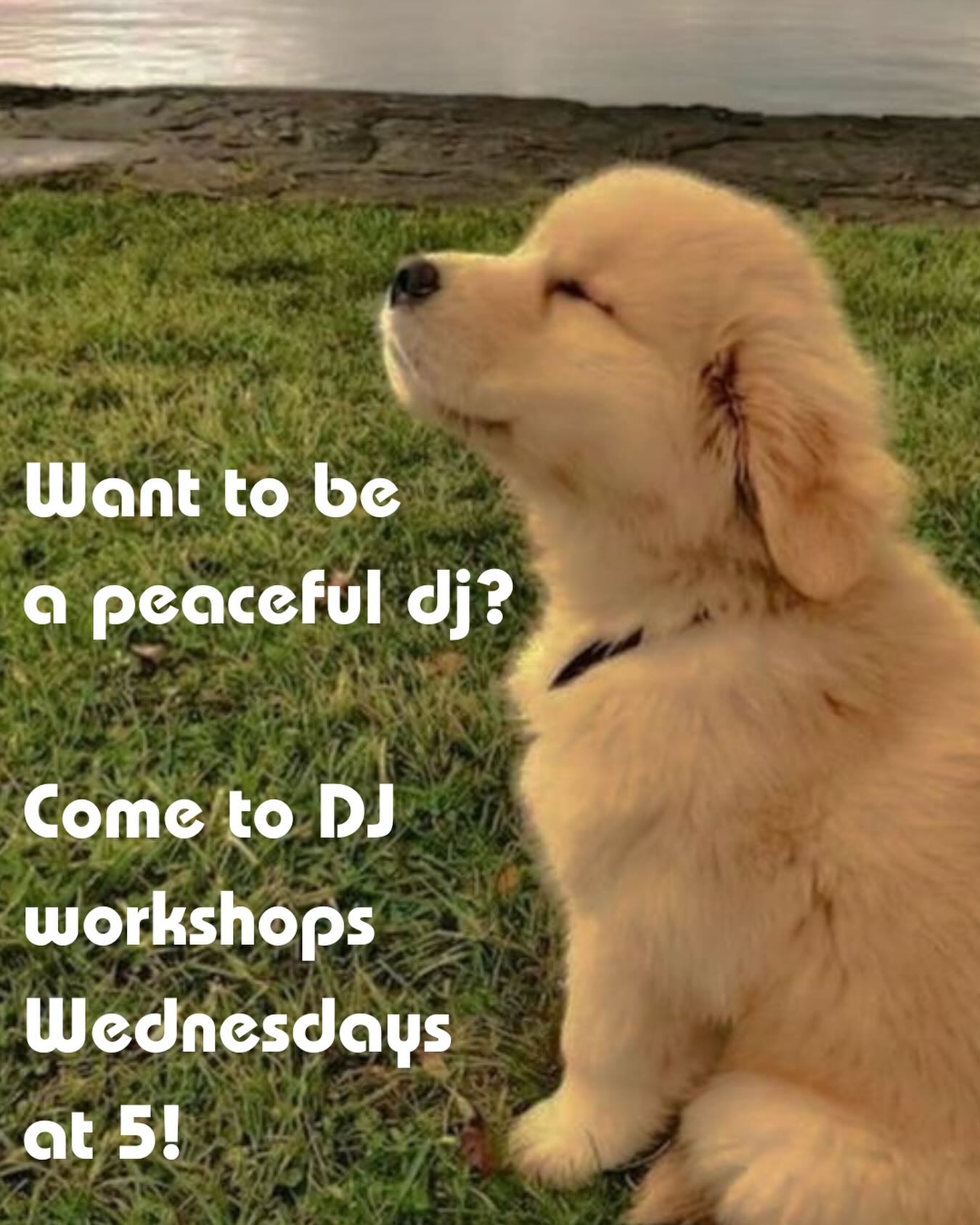 Who doesn’t want less stress about their shows? Come to DJ Workshops Wednesdays at 5 with all your questions!
(PS summer show applications release soon so come for more information on that)