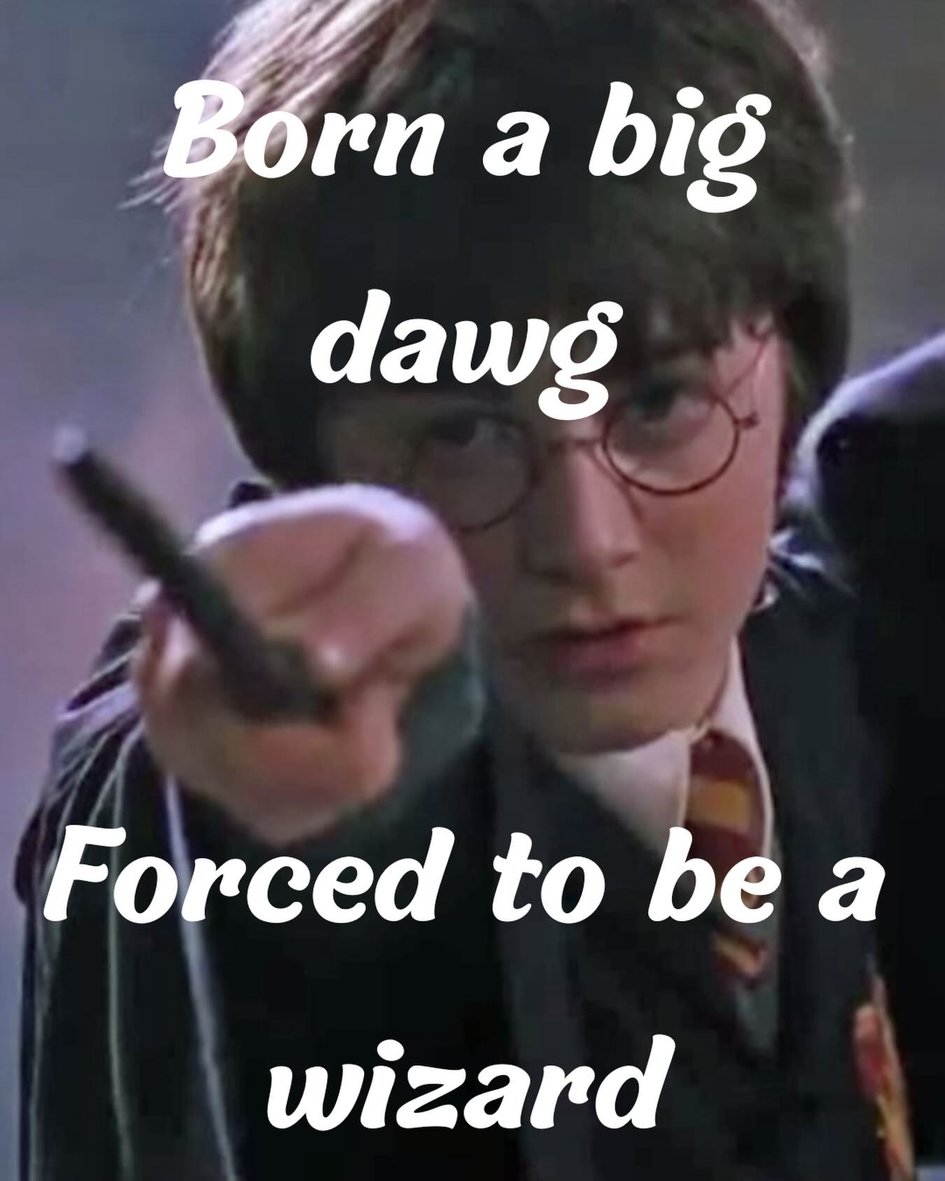 Wizard prom is tomorrow at 7-10! Come join us at Junkyard Social Club in Boulder! You won't wanna miss this!!! We're partying like wizards!!!!