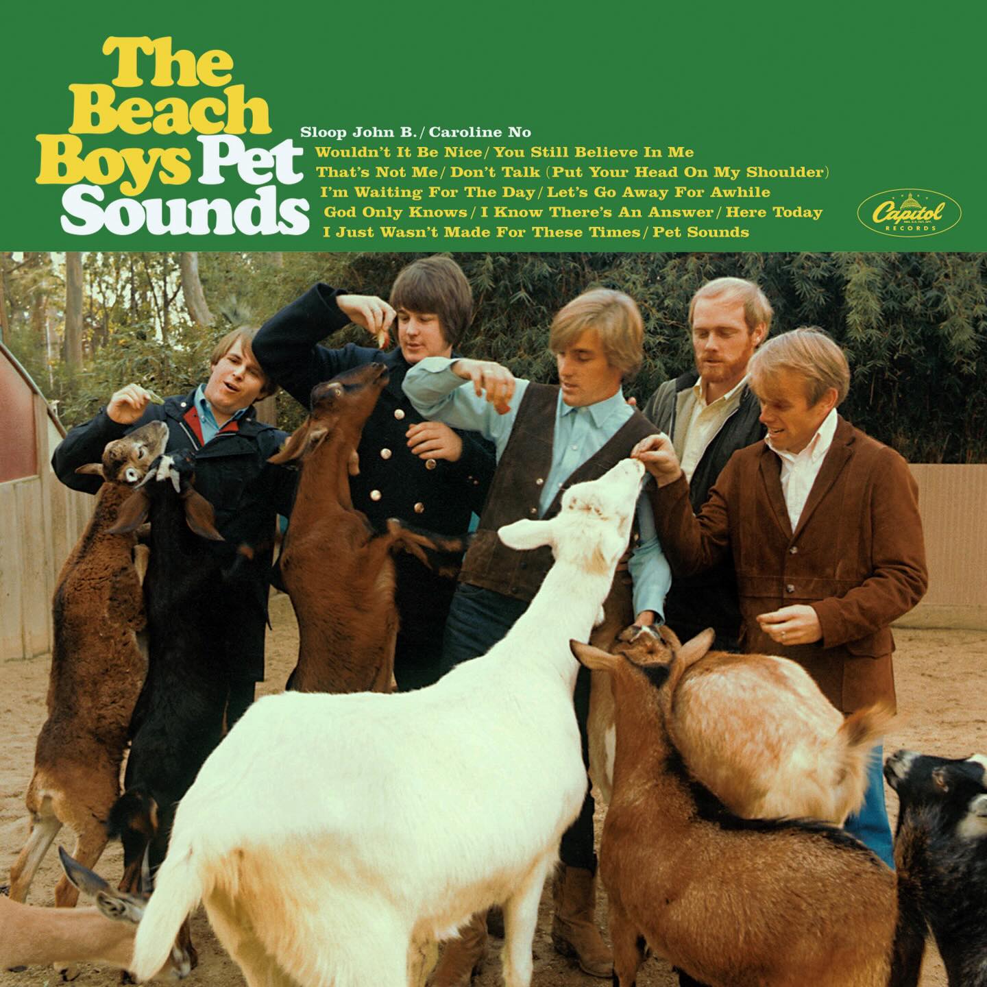 in less than 24 hours the FINAL ALBUM CLUB OF THE SEMESTER will occur… and we’re discussing PET SOUNDS by the BEACH BOYS!!! what better way to kick off the summer?? come at 5 pm tuesday and say anything you want at all about it