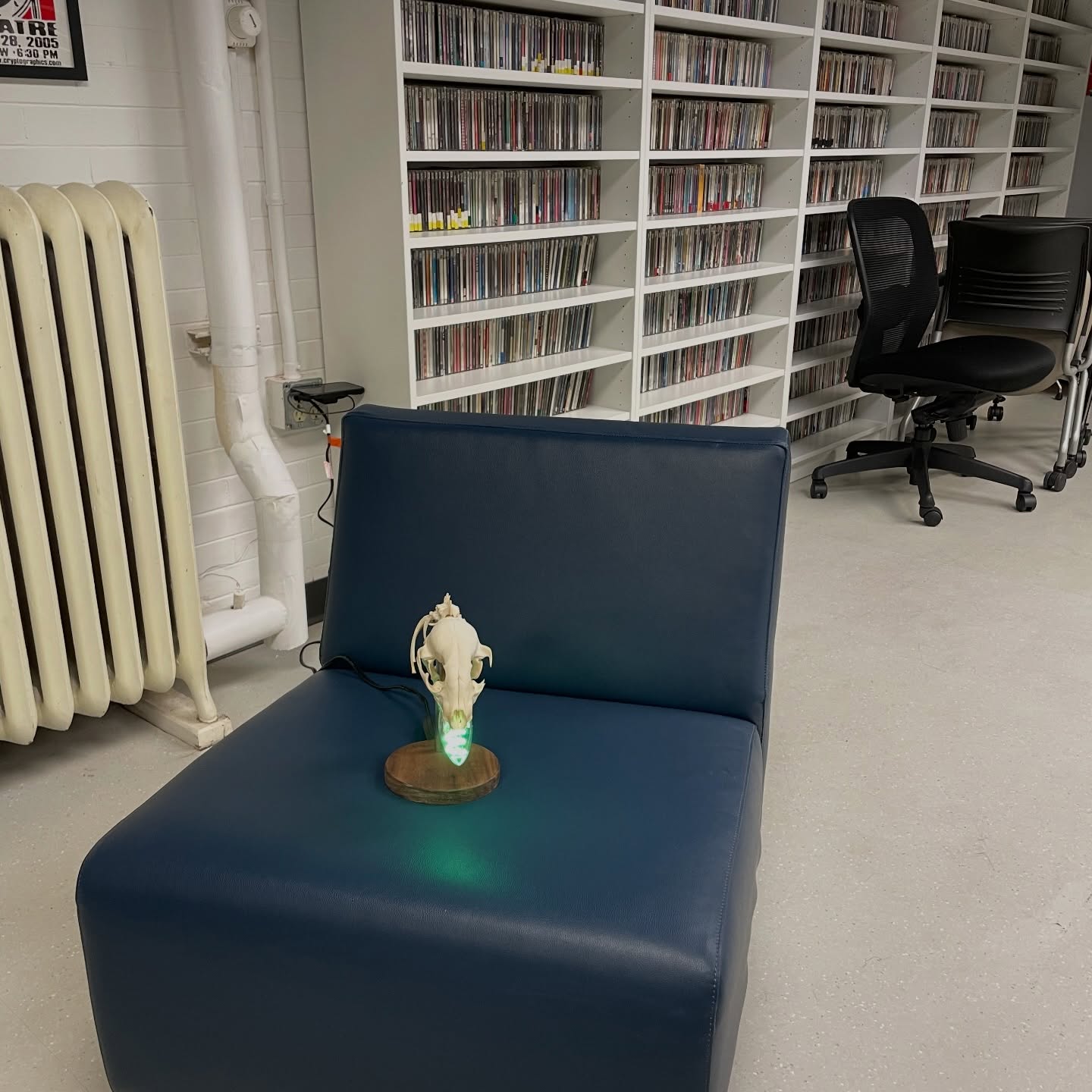 Raccoon lamp. Situation normal. (@inkskye built it!)