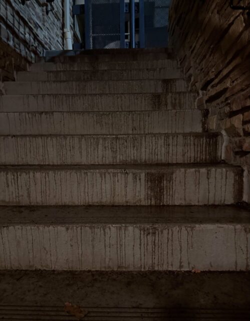 The stairs outside the back door of 1190 are so foreboding because leaving the station is a terrible thing to have to do!