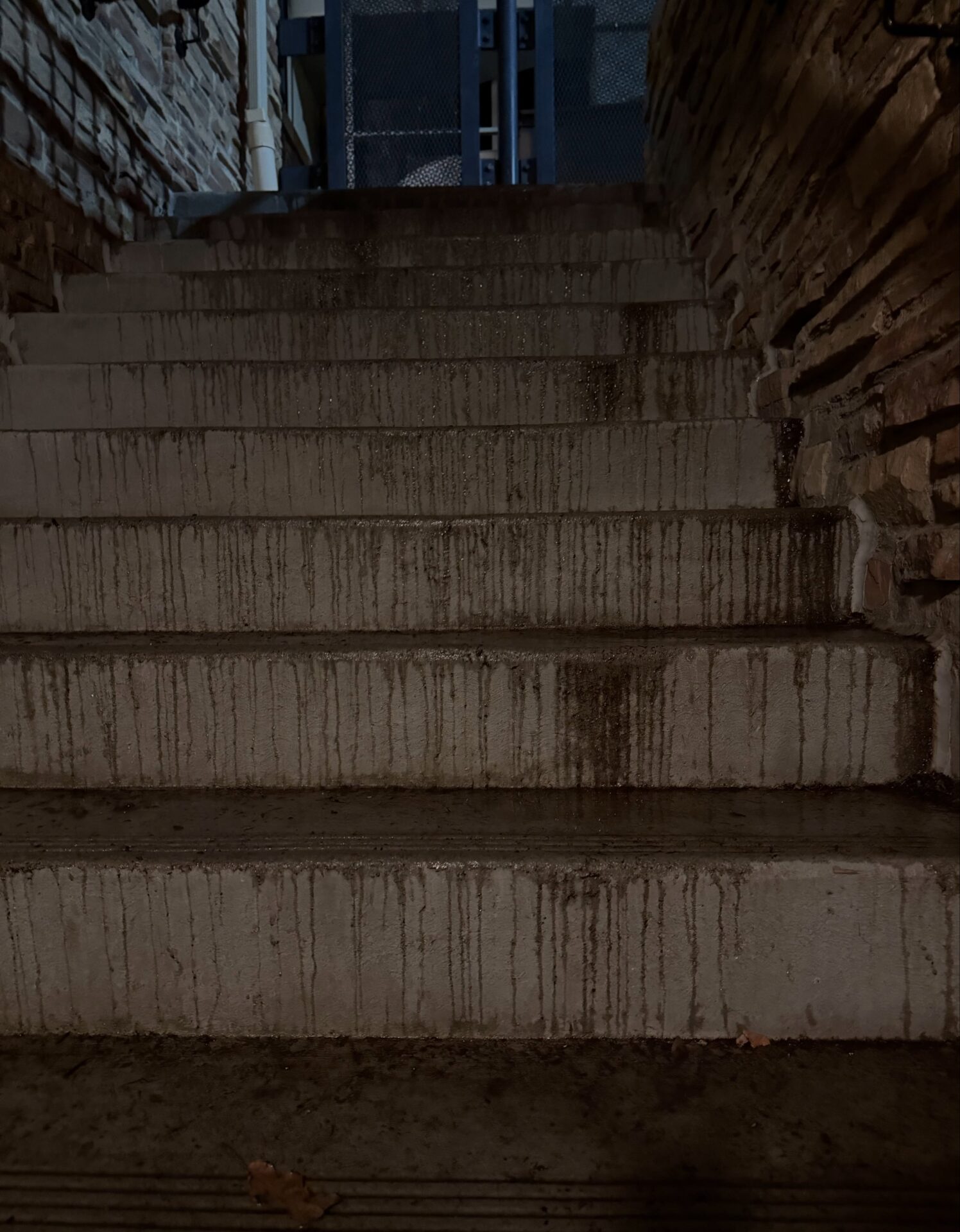 The stairs outside the back door of 1190 are so foreboding because leaving the station is a terrible thing to have to do!