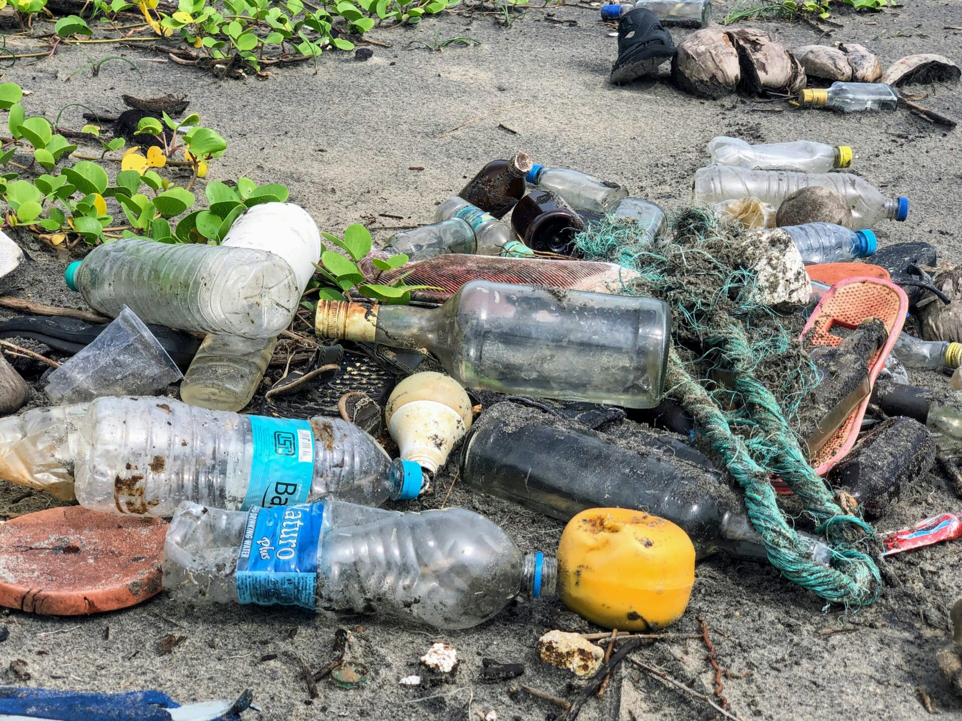 People’s Ignorance of Litter Reflects Our Climate Crisis