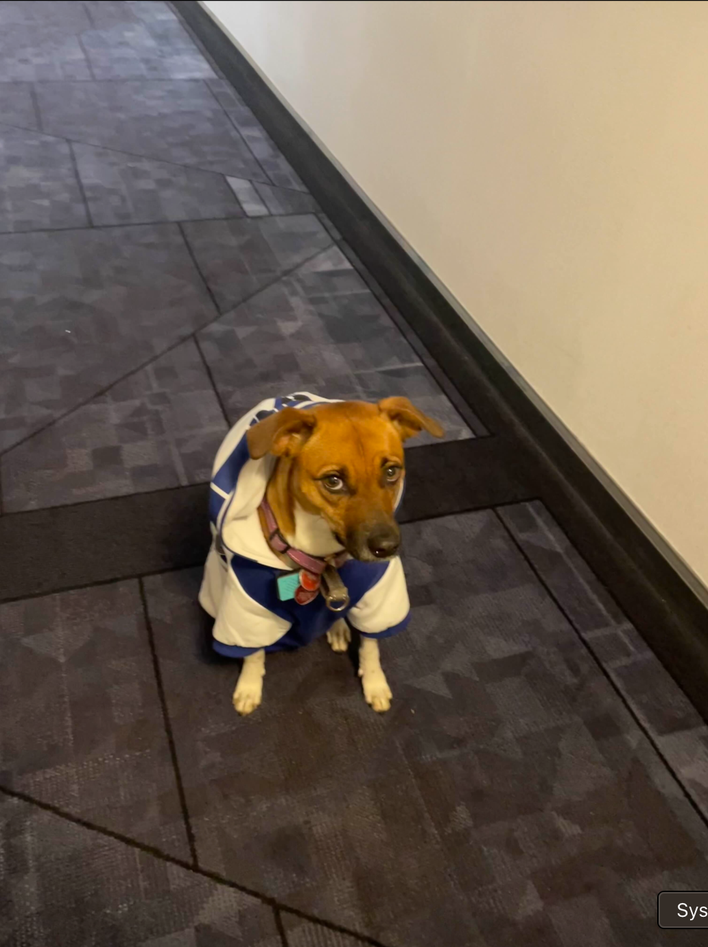 A Very Scary Halloween Haiku